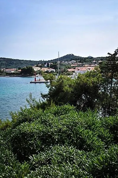 Apartment In Poljana With Sea View, Terrace, Air Conditioning, Wifi 3617-3 Hırvatistan