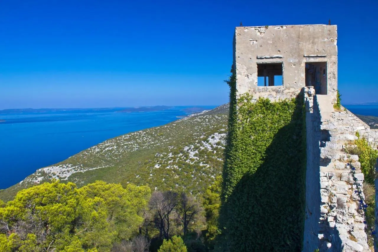 Apartment In Poljana With Sea View, Terrace, Air Conditioning, Wifi 3617-3 Poljana (Ugljan)